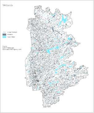 swetland.jpg (17523 bytes)