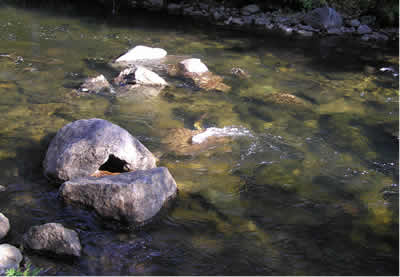 Pristine water leaves Henderson Lake